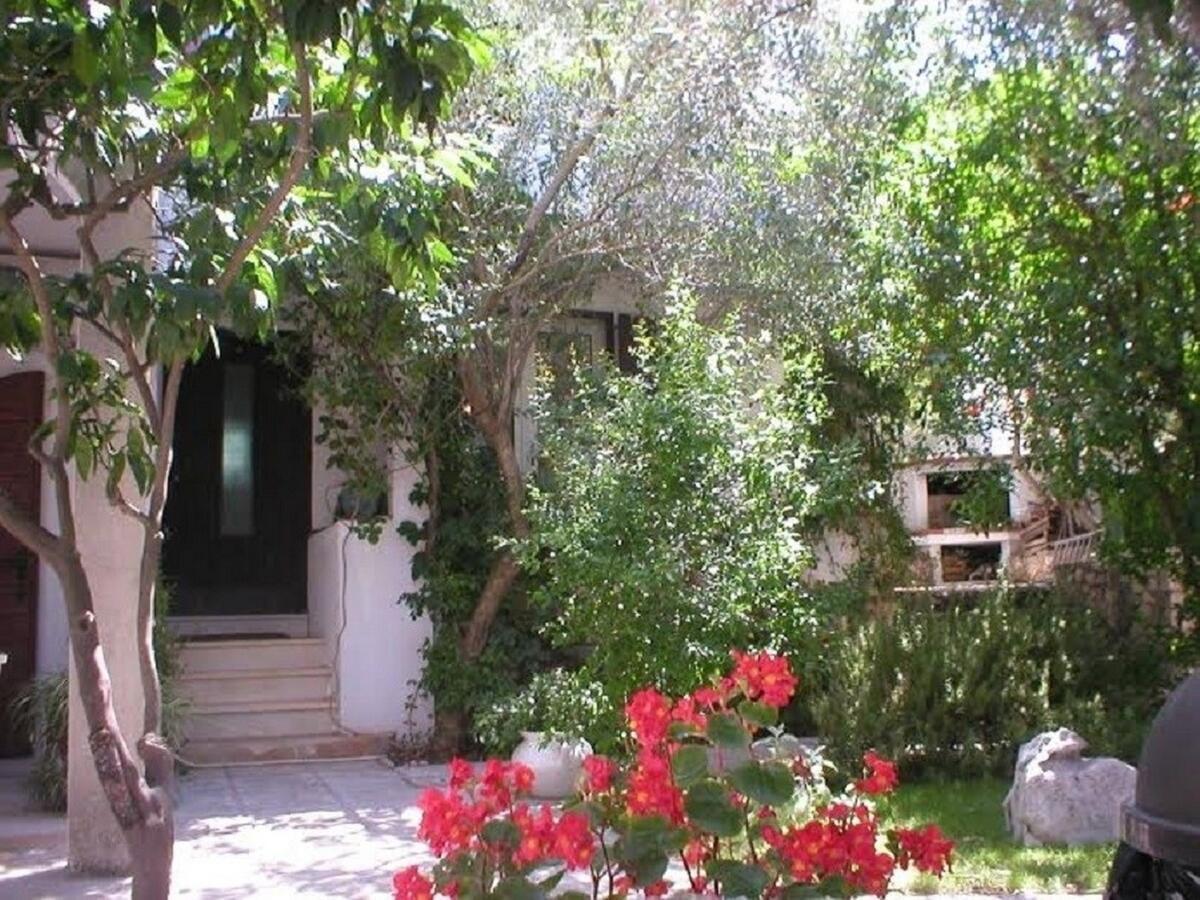 טרוגיר Apartments Doria - 20M From Beach מראה חיצוני תמונה
